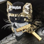 DaShiestyEffect's Avatar'