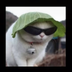 turitoo.SCZ's Avatar'