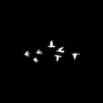 OVG.'s Avatar'