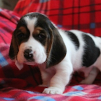 abundant_yatch67's Avatar'