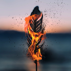 Ashen_Wings's Avatar'