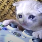 SomeBloke24's Avatar'