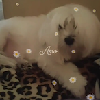 xSoulHuntxr_'s Avatar'