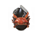 LilLilCrab's Avatar'