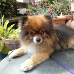 Mr_Mitch_23's Avatar