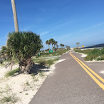 Swiss.Draco's Avatar'