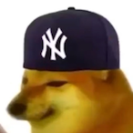 Dank_Doggo500's Avatar'