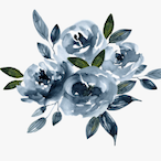 Entrashtress's Avatar'