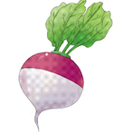 OnshorTurnip's Avatar'