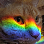 ChineseDilf's Avatar'