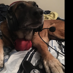 CDthePlaya's Avatar'