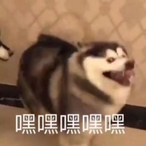 swingNmiss2704's Avatar'