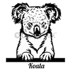 c00psdal00ps's Avatar'