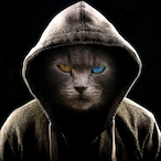 Error.Dash's Avatar'