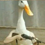 nog_doCorsa's Avatar'