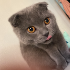 TheMoonShrek's Avatar'