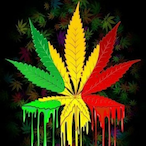 KeefBlunt420's Avatar'