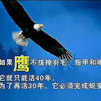 RebirthOfEagle's Avatar'