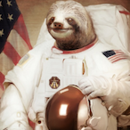 DuckLeek's Avatar'