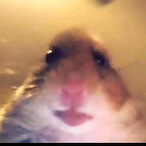 Potato.Fato7's Avatar'