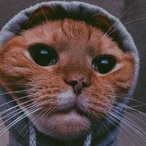 Grimmjaw_'s Avatar'