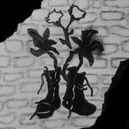 siya_.'s Avatar'