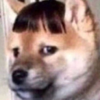 TharokYaJepChan's Avatar'