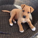 KrisTheOOFER's Avatar'