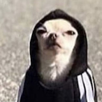 skxltz's Avatar'