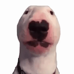iTzN0tMxson's Avatar'