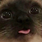 ShadowChicken54's Avatar'