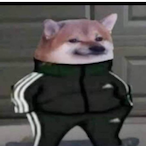MEMAYBU_CAC_CHO's Avatar'