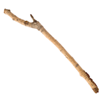 Sticks.NFG's Avatar'