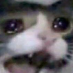 abnormal.kevin's Avatar'