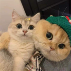 DuckBuB1_7's Avatar'