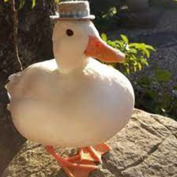 Pat0_YAG