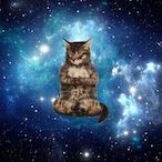 TheNamesBond69's Avatar'