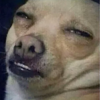 KeaIer's Avatar'