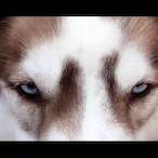 Hanz__'s Avatar'