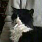 BlijeKoffie's Avatar