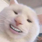 WinniePoodle's Avatar'