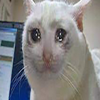 novell780's Avatar'