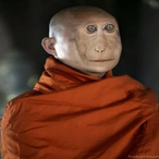 ThatPhatPerson's Avatar'