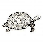 Cassiopeia_71's Avatar