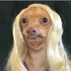 Pickle.The.Rick's Avatar'
