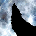 LoneWolf10's Avatar'