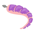 asacoco100g's Avatar'