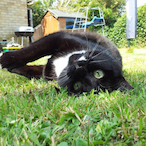 ThiccCheese.X's Avatar'