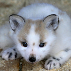 Persistencee's Avatar'