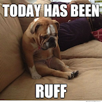 WhjteCattt's Avatar'